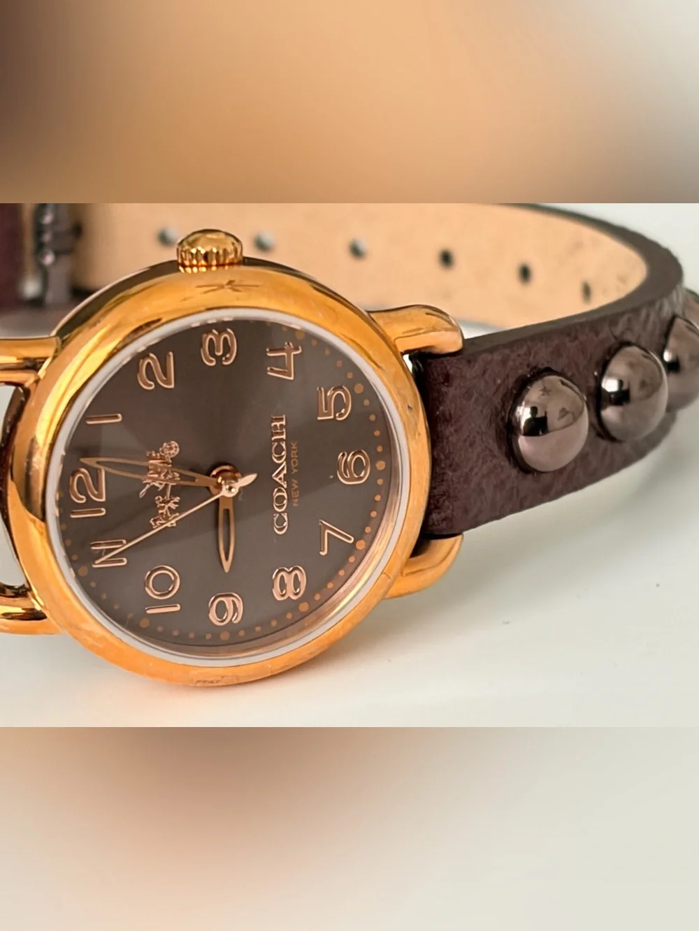 Coach Gold-Tone Case Brown Dial Brown Leather Strap Watch NWT
